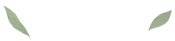 mordenday Logo